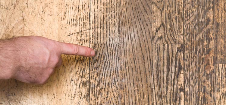 Wood Door Scratch Repair in Rosemead